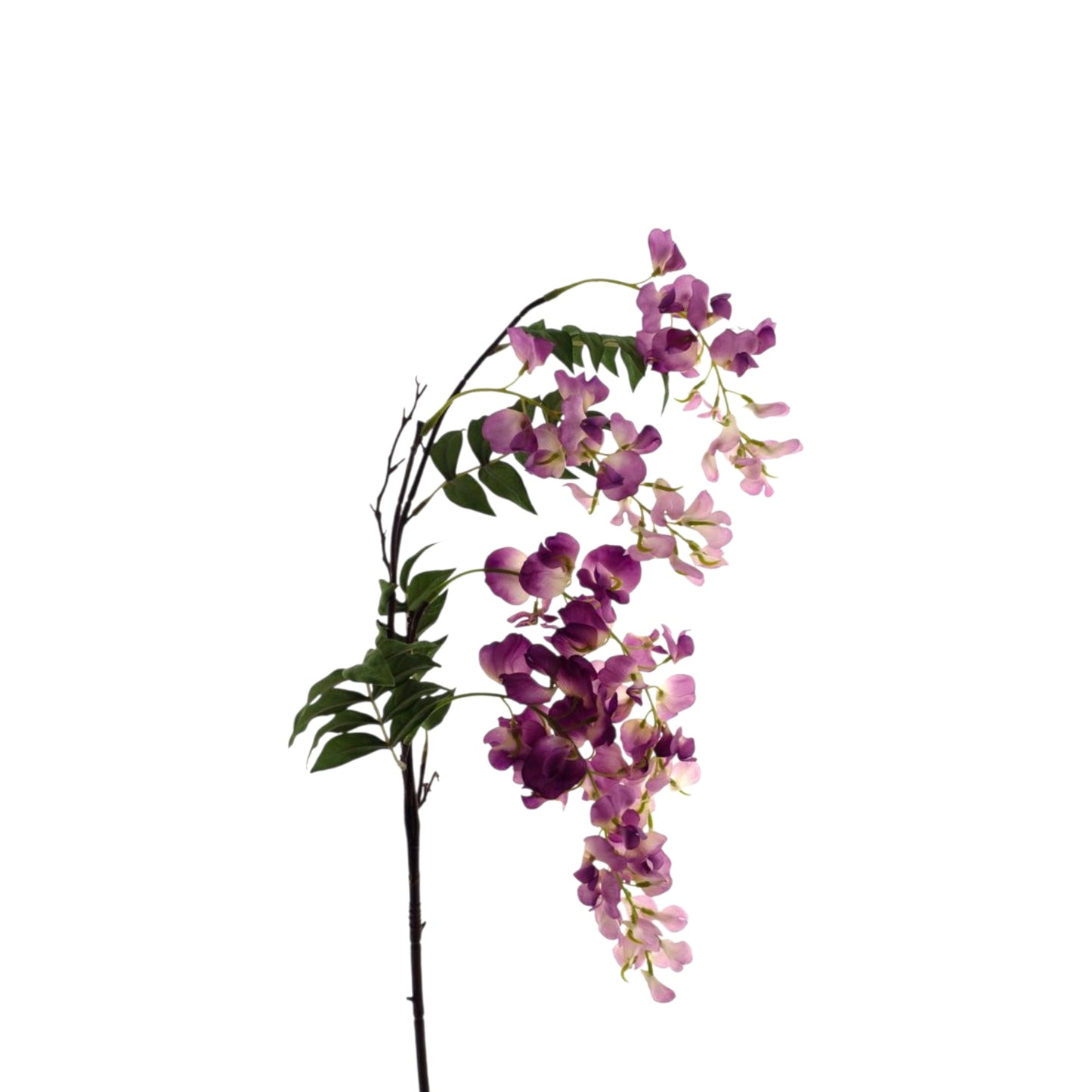 SWEET PEA SPRAY MICK 92 CM