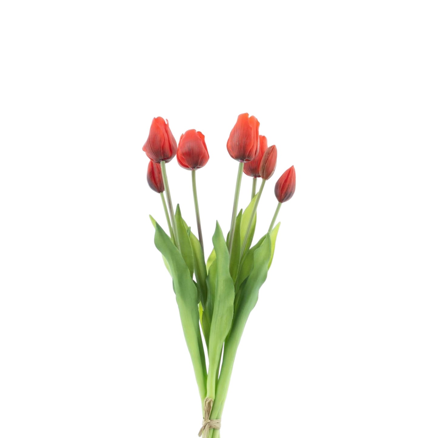 TULIP BUNDLE SALLY
