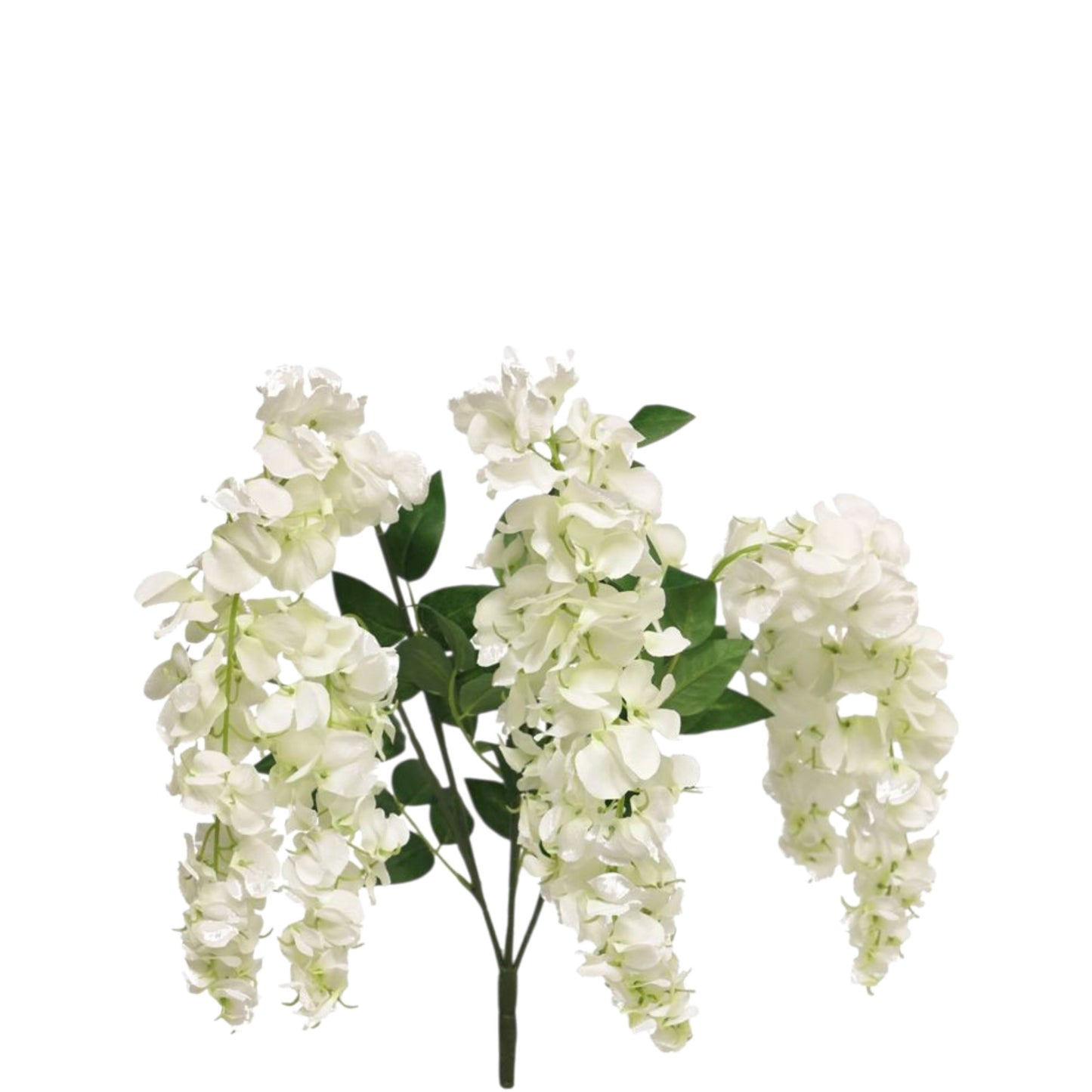 WISTERIA VAIANA BUNCH CREAM 77 CM