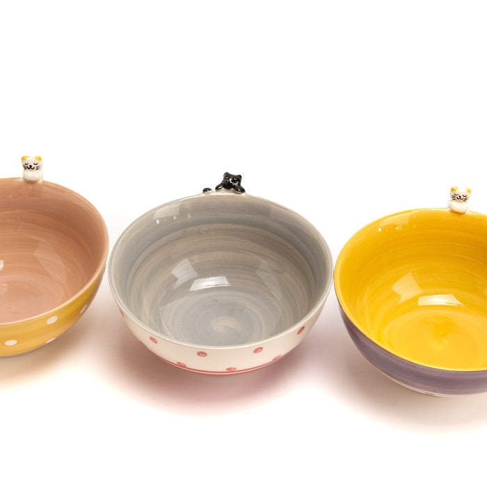 TOM BOWL