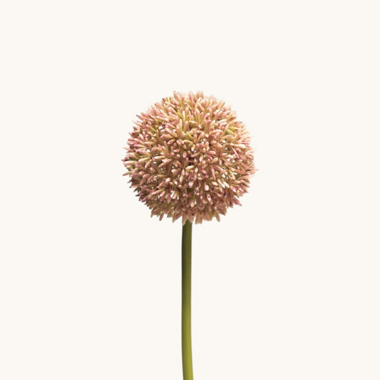 ALLIUM FLOWER 68 CM
