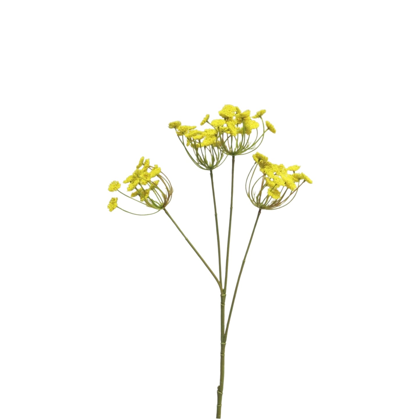 ANETHUM SPRAY 4 YELLOW