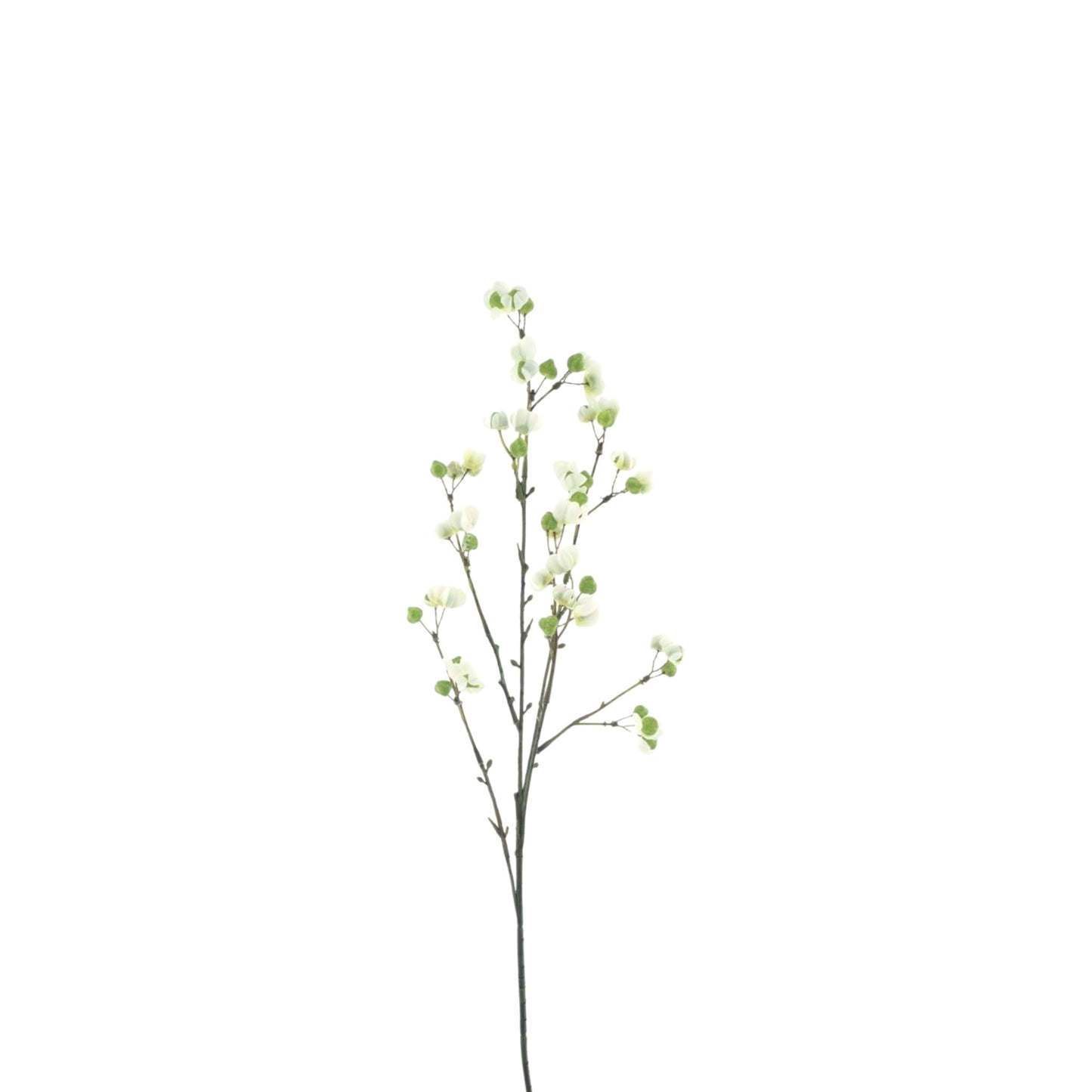 BITTERSWEET BERRY SPRAY 66 CM