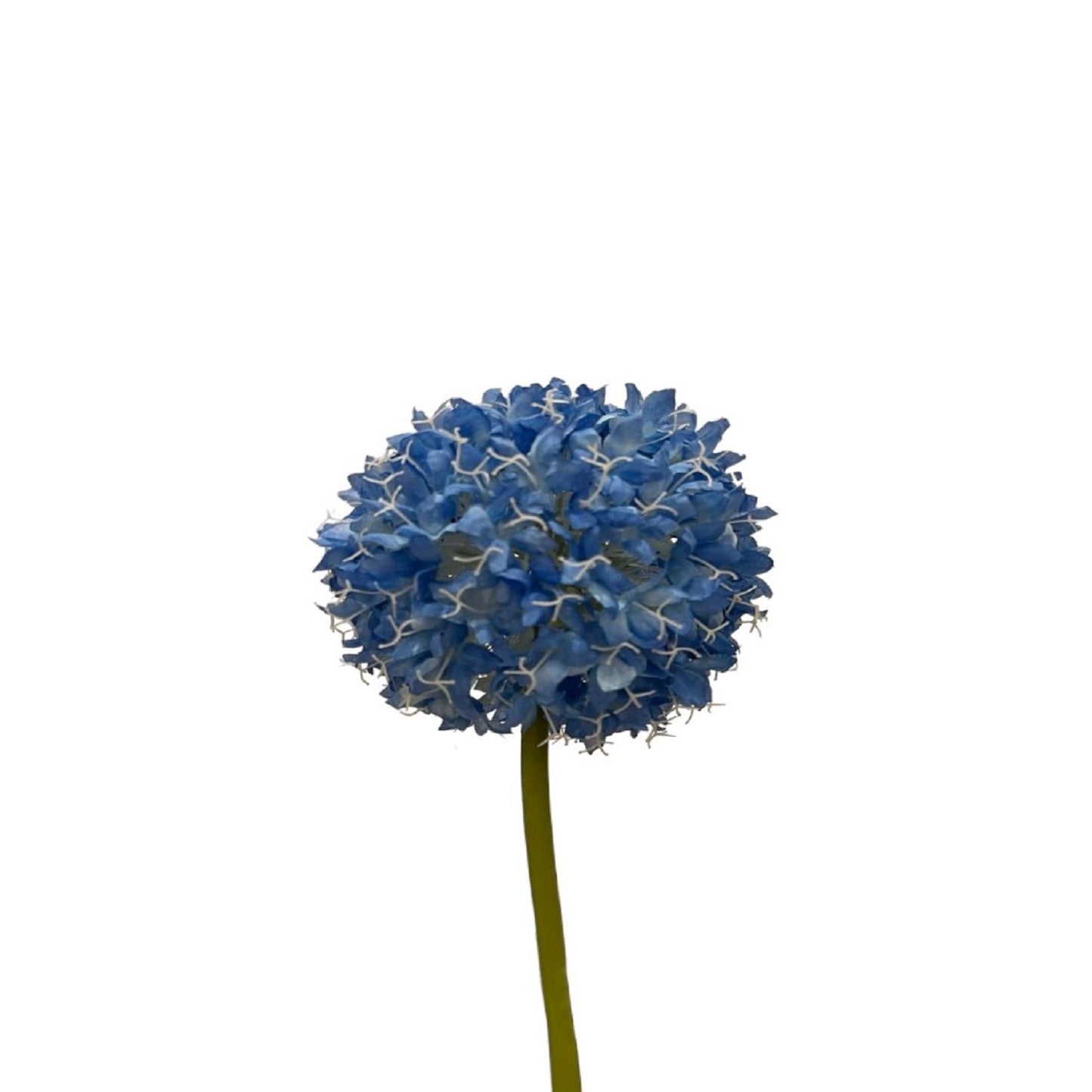 BLUE ALLIUM FLOWER