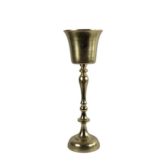 CHAMPAGNE COOLER JOSHA GOLD