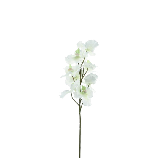 CYMBIDIUM SPRAY 76 CM