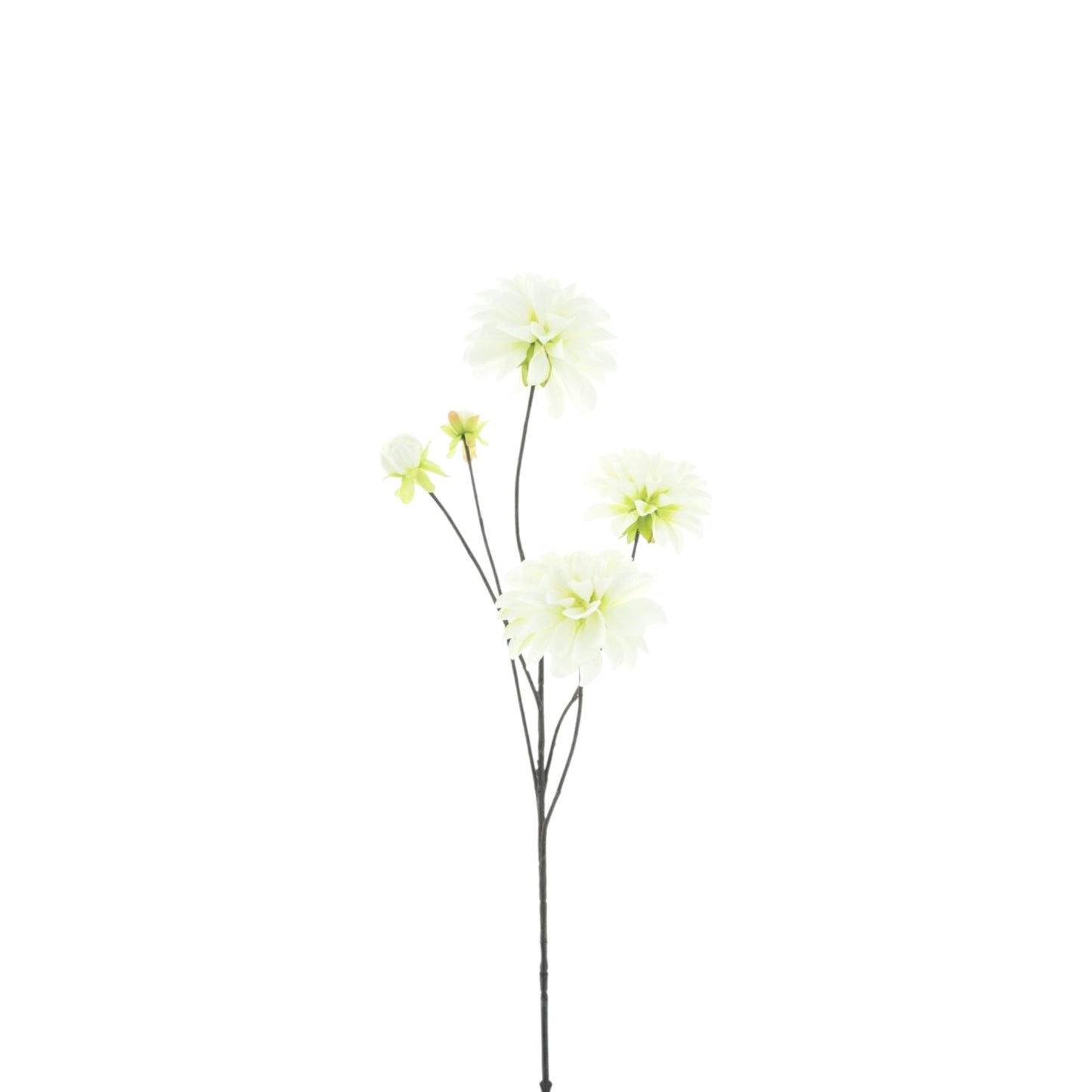 DAHLIA CAPITOL SPRAY 89 CM