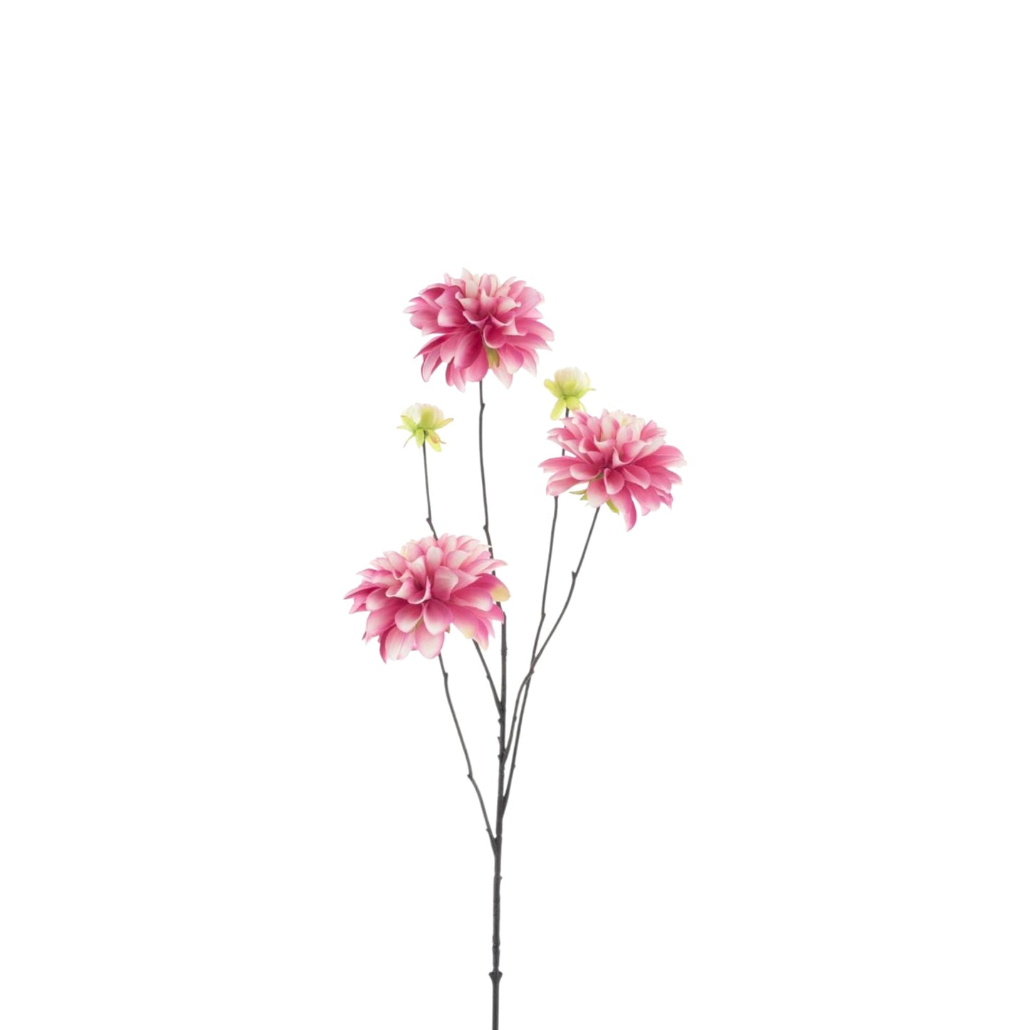 DAHLIA CAPITOL SPRAY 89 CM