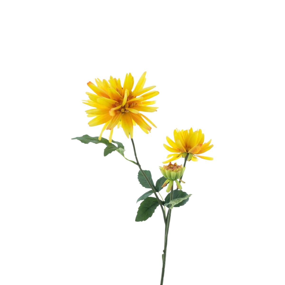 DAHLIA NEW YORK SPRAY 76 CM