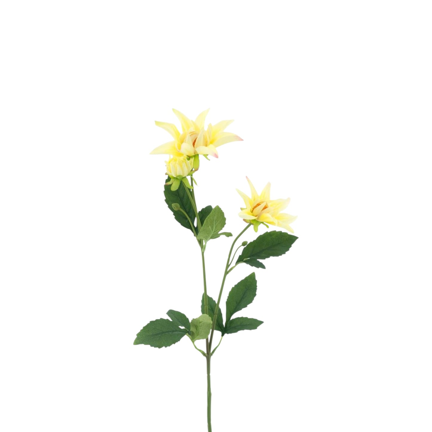 DAHLIA SPRAY NOUD 64 CM