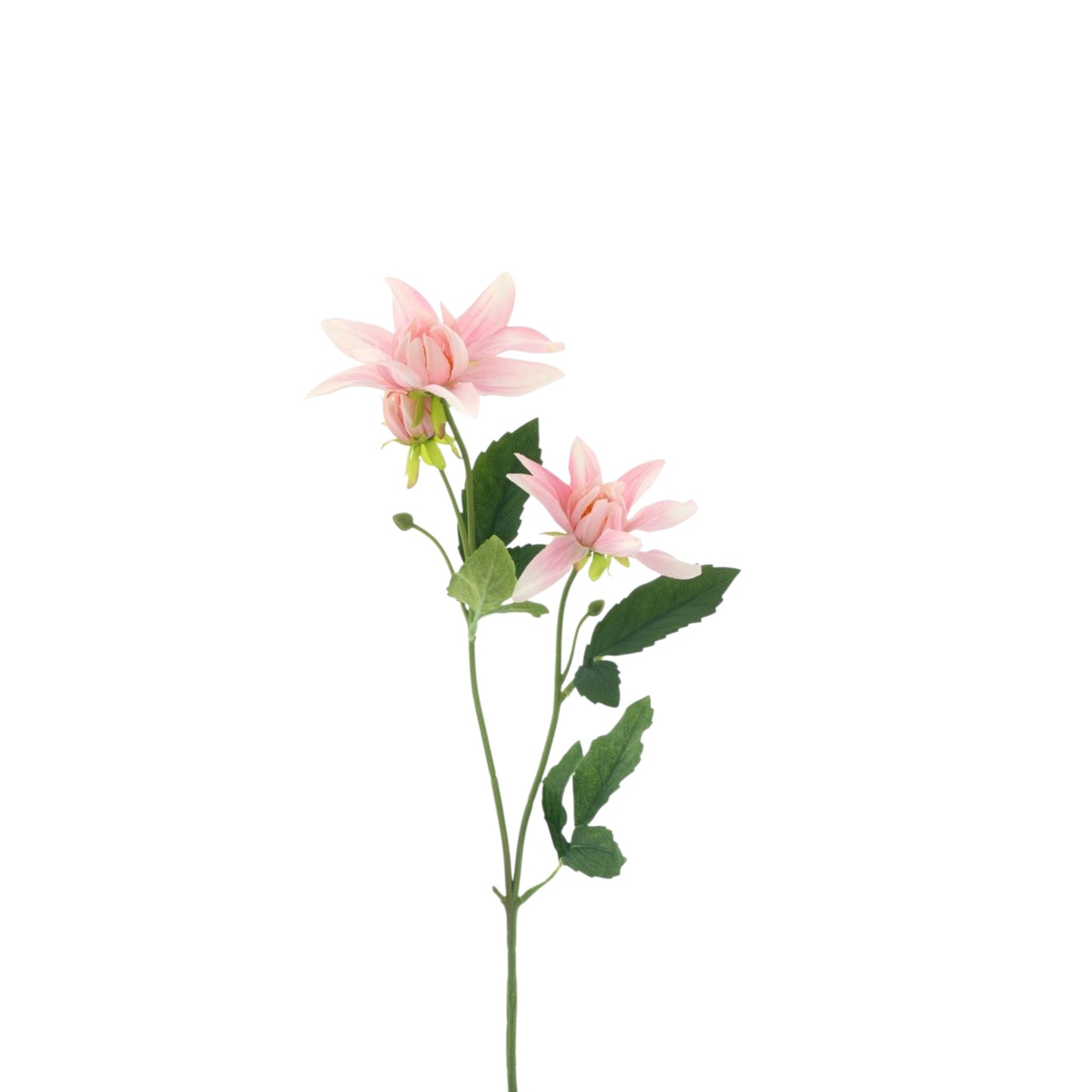 DAHLIA SPRAY NOUD 64 CM