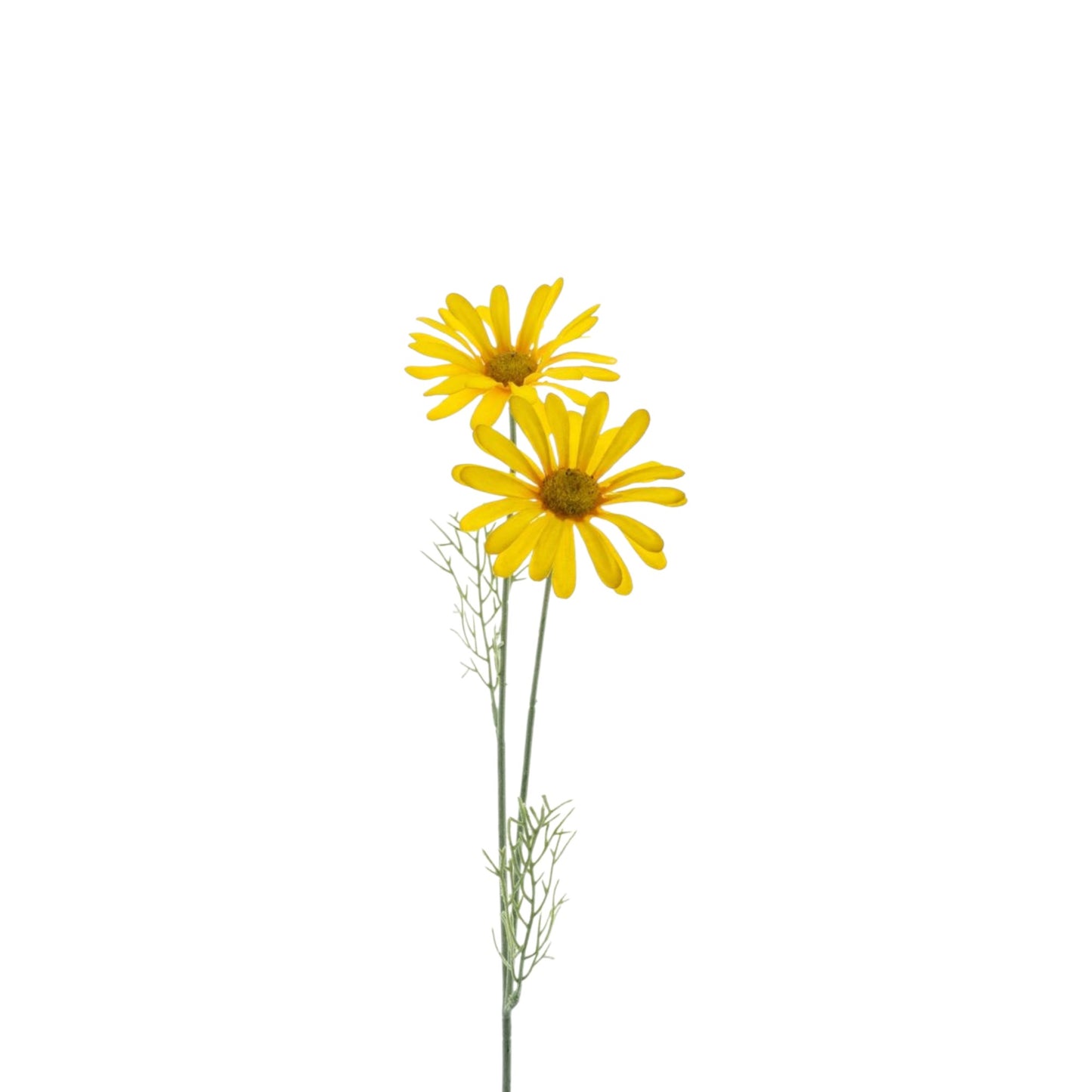 DAISY CORDOBA SPRAY YELLOW 56 CM