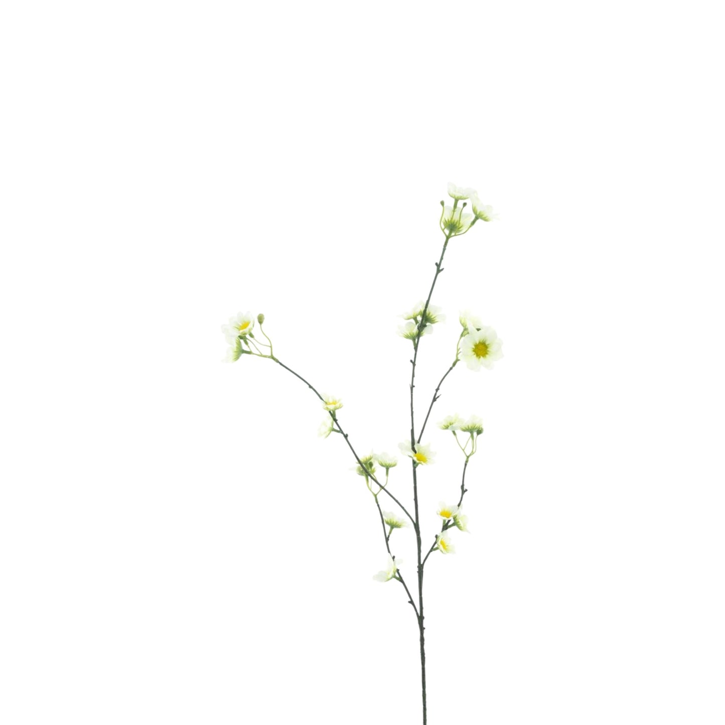DAISY MORIE SPRAY 83 CM
