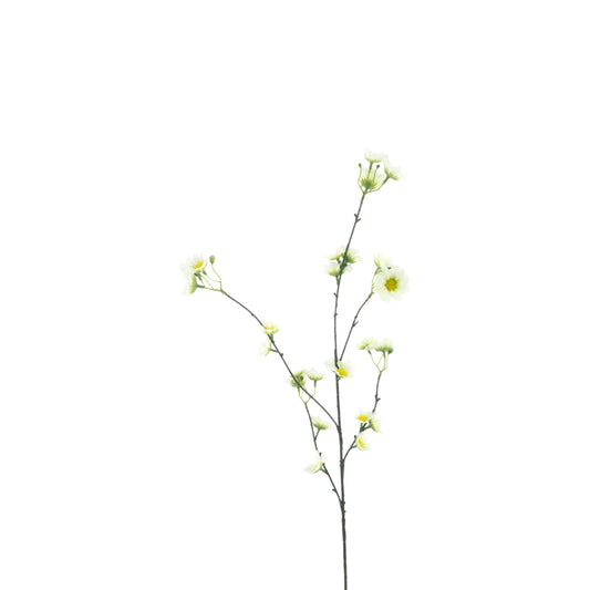 DAISY MORIE SPRAY 83 CM