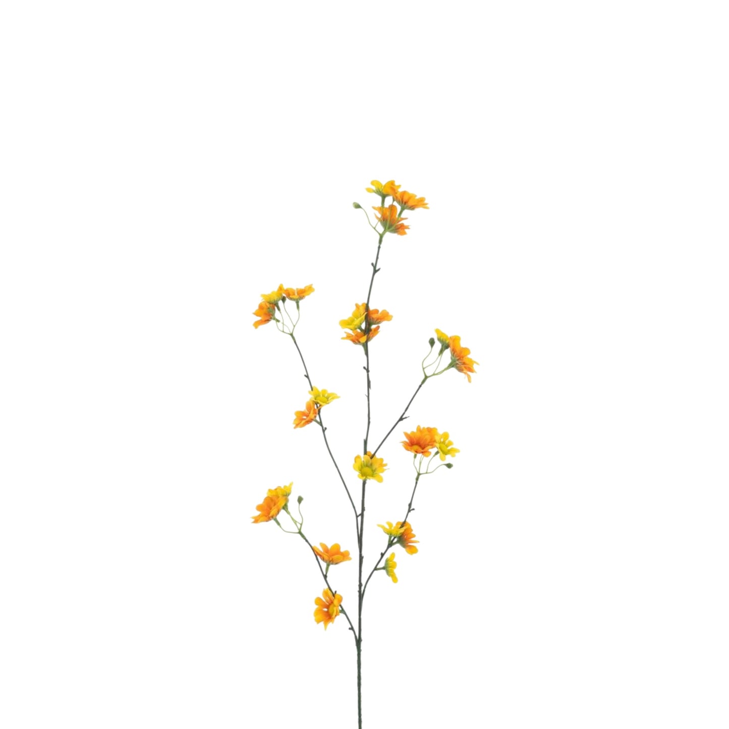 DAISY MORIE SPRAY 83 CM