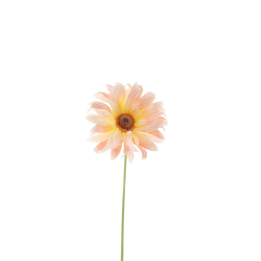 GERBERA SPRAY LOTTE 76 CM