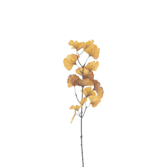 GINGKO SPRAY JULIAN 64 CM