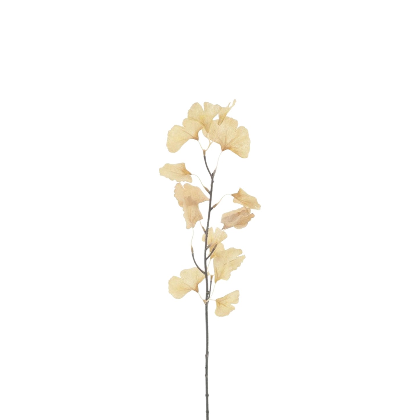 GINGKO SPRAY JULIAN 64 CM