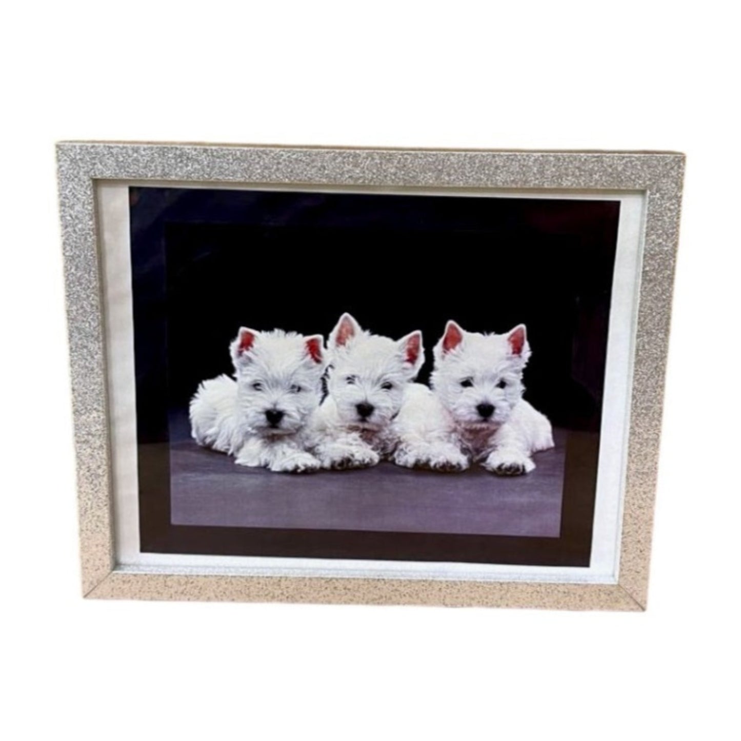 GLITTER WOOD SILVER FRAME