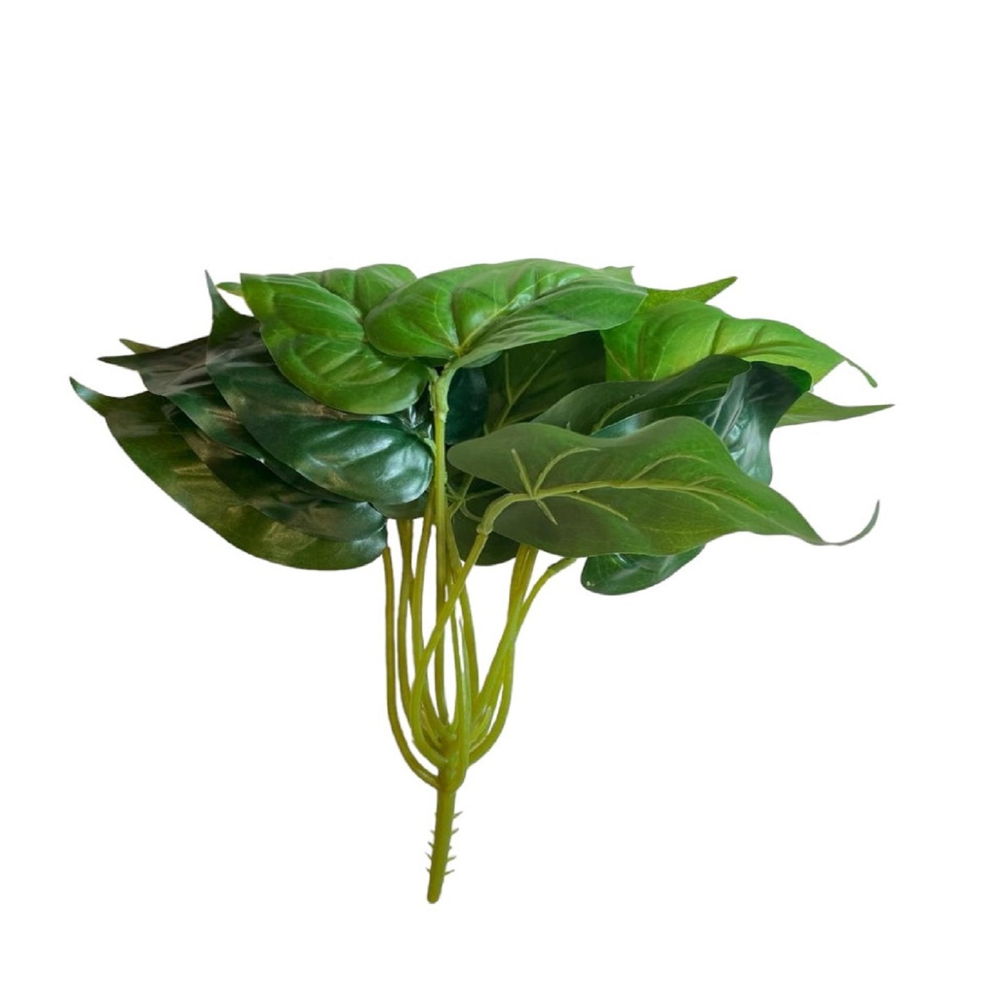 GLOSSY LEAF BOUQUET