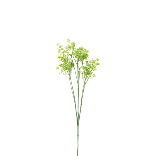 GYPSOPHILIA SPRAY GREEN 70 CM