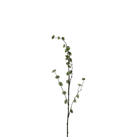 HAMAMELIS FLOWER SPRAY 92 CM