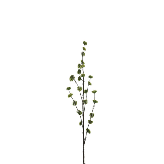 HAMAMELIS FLOWER SPRAY 92 CM