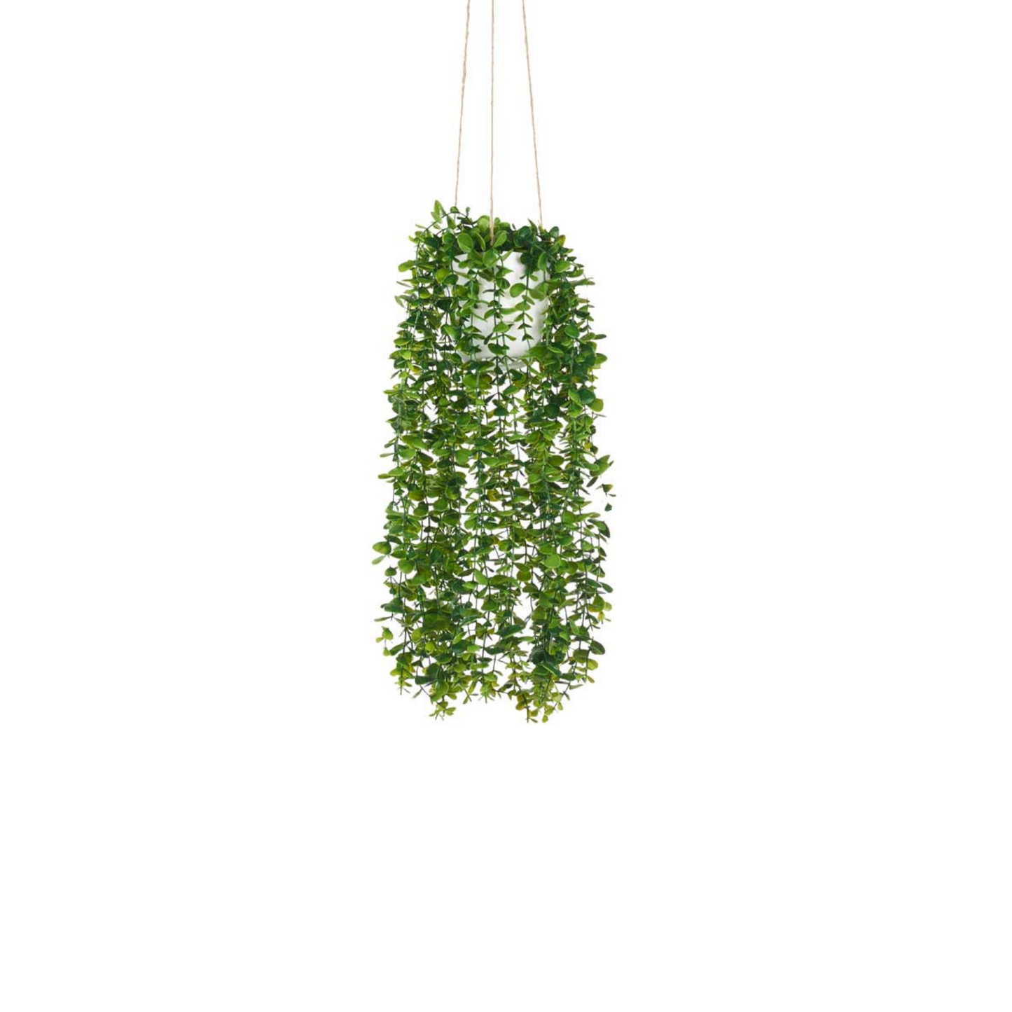 HANGING PLASTIC POT WITH ROPE GREEN