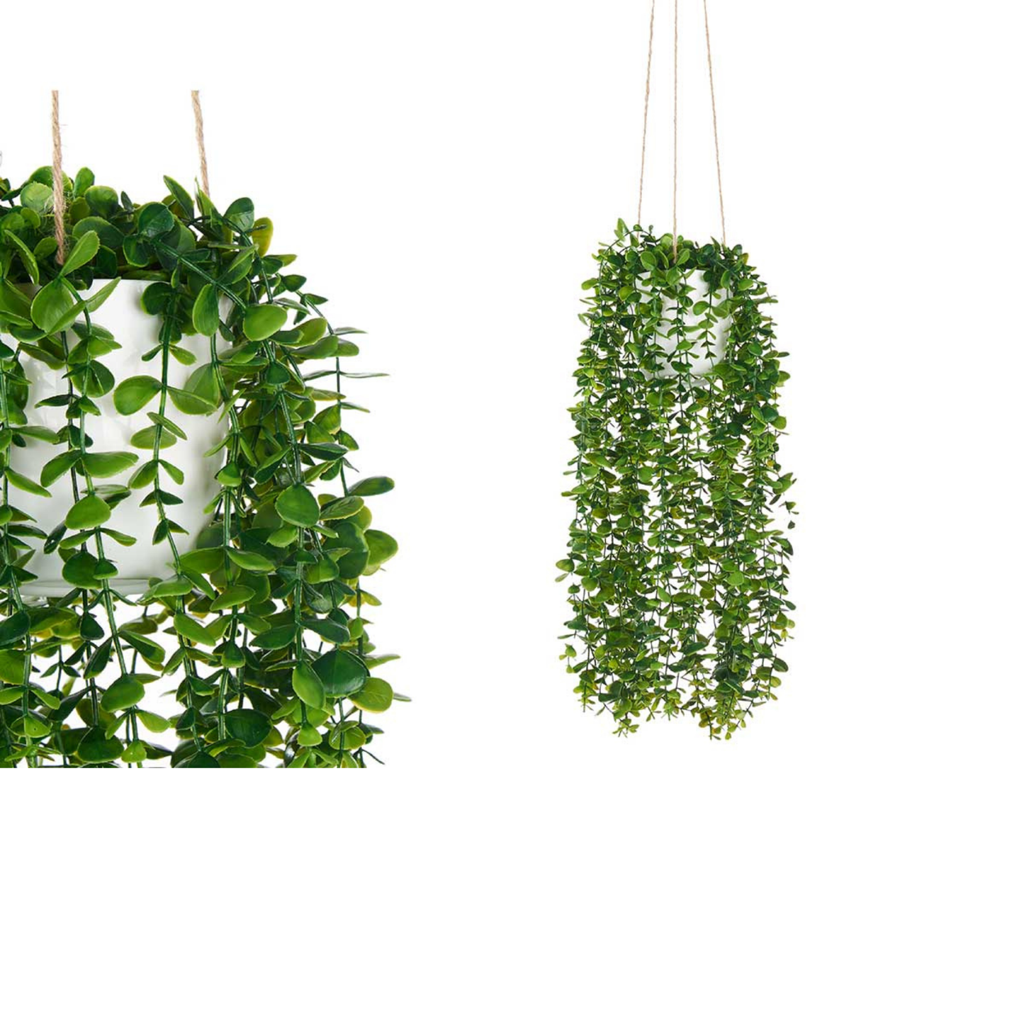 HANGING PLASTIC POT WITH ROPE GREEN