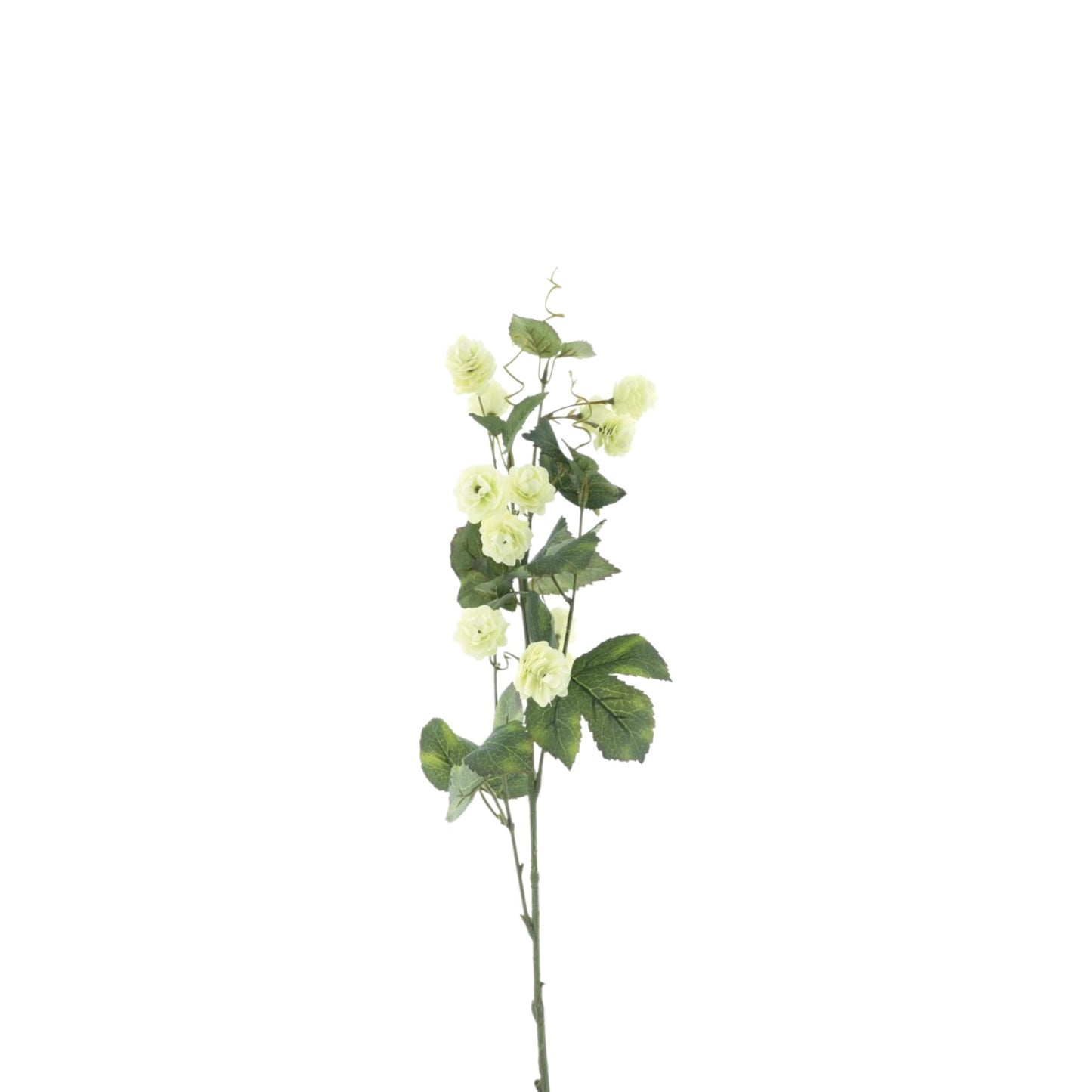 HOP FLOWER SPRAY