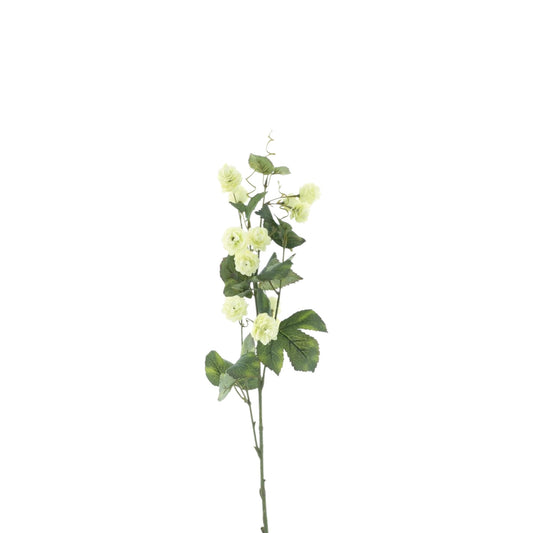 HOP FLOWER SPRAY