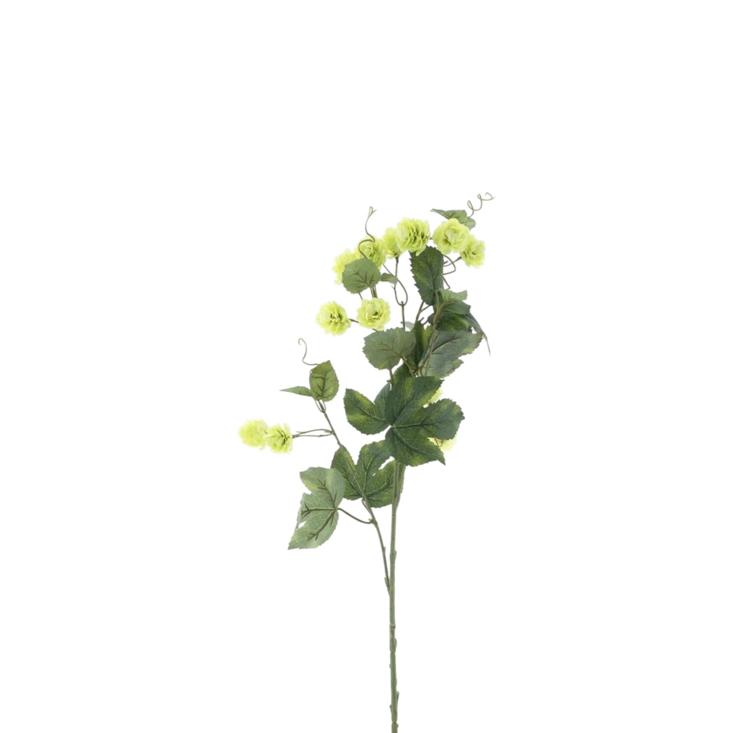 HOP FLOWER SPRAY