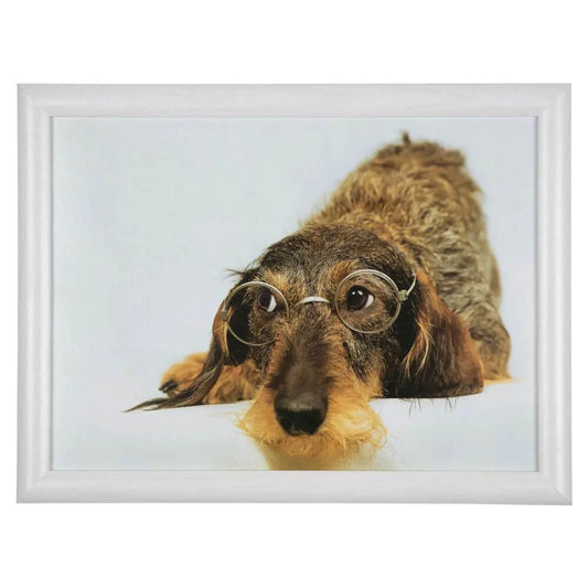 HUMOUR WIRE HAIRED DACHSHUND LAPTRAY