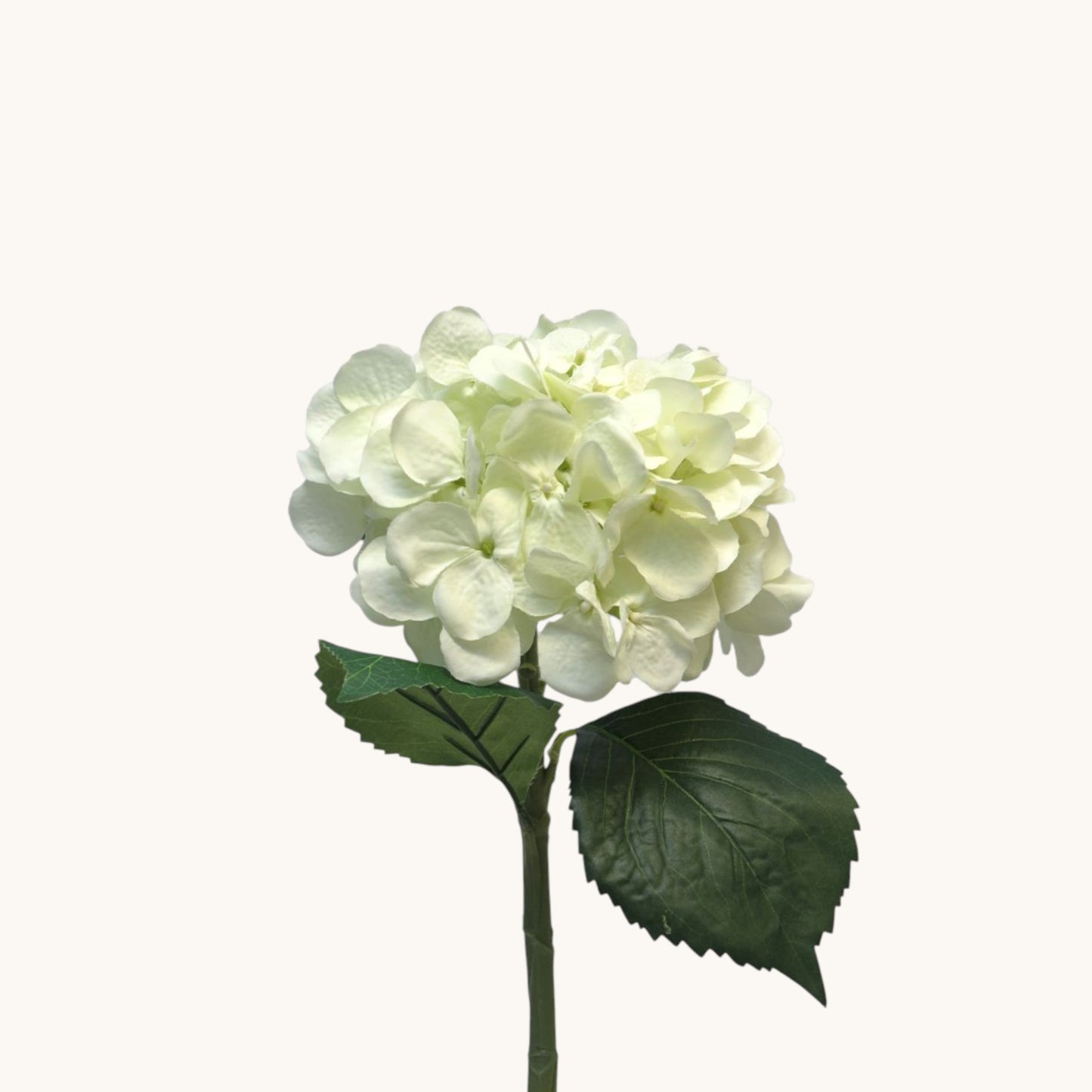 HYDRANGEA ARTIST 48 CM