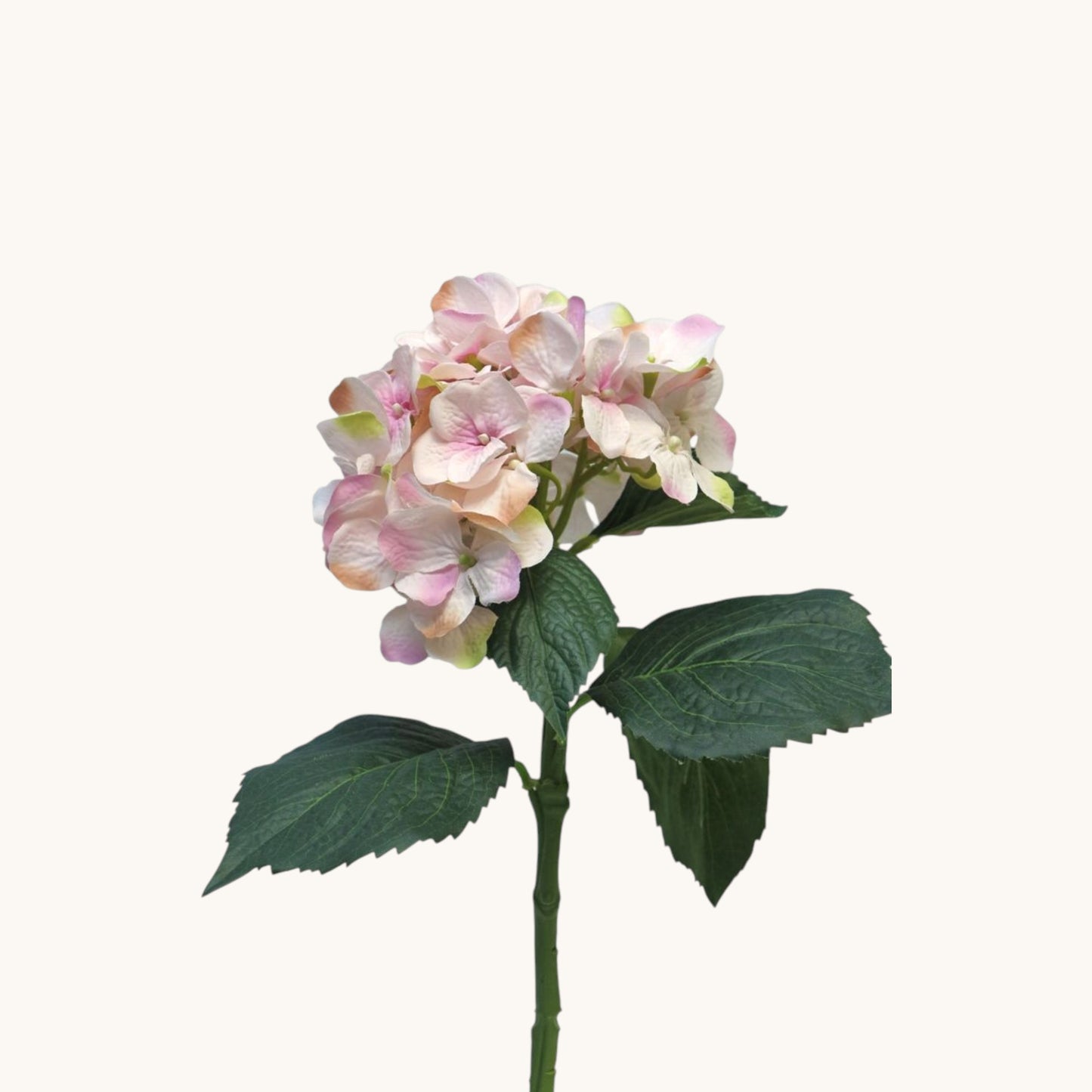 HYDRANGEA ARTIST 48 CM