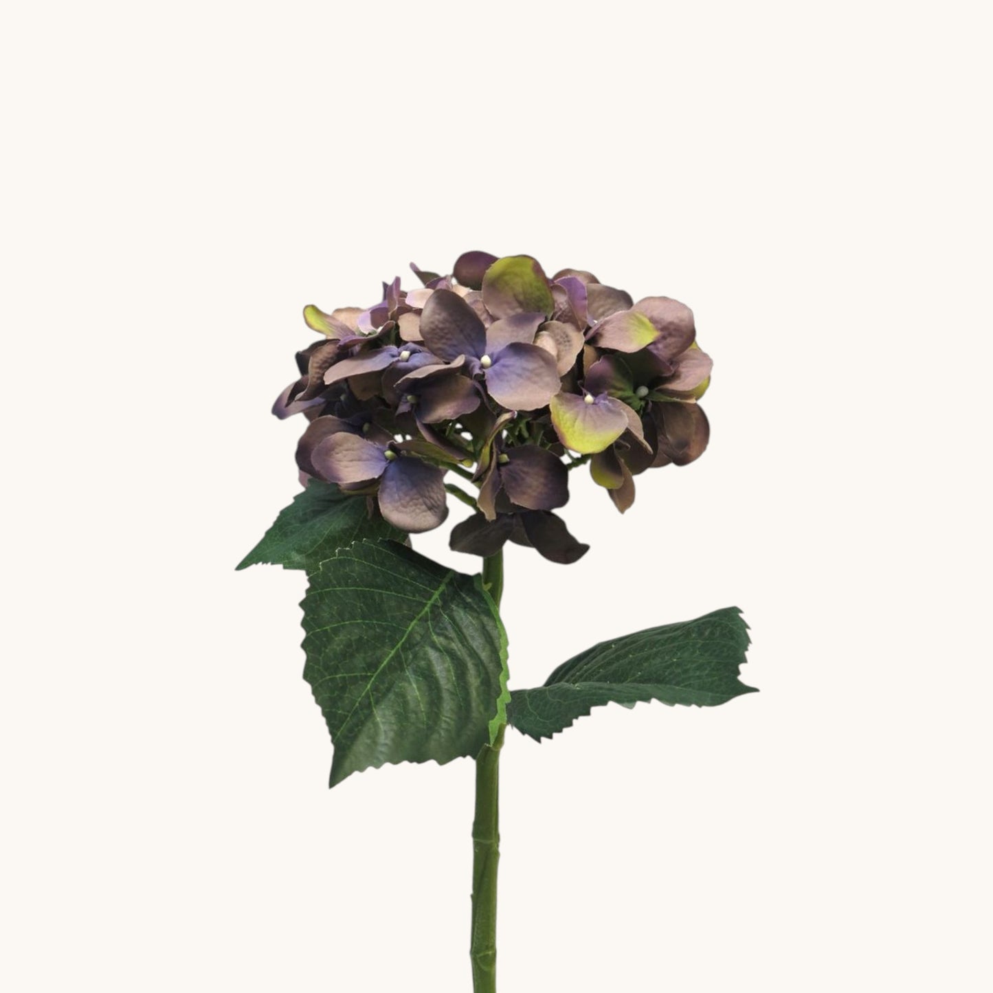 HYDRANGEA ARTIST 48 CM