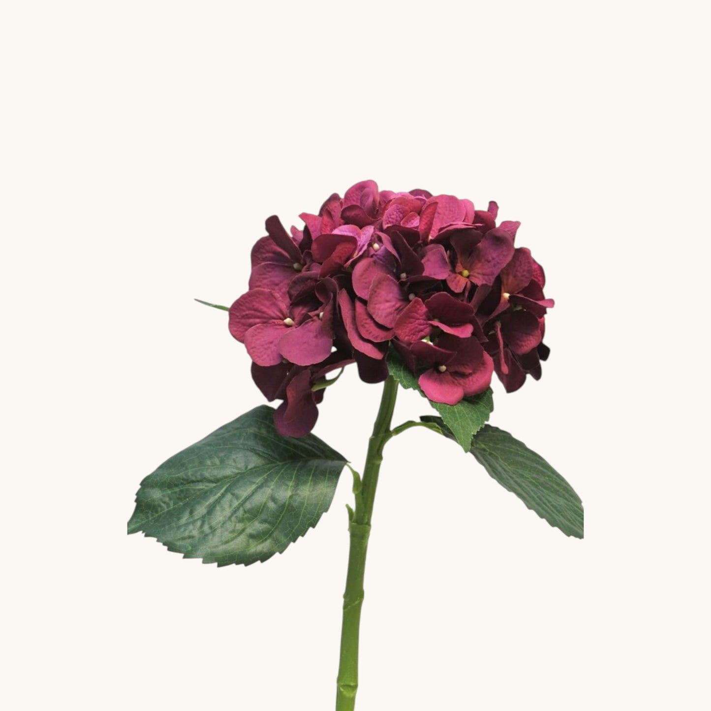 HYDRANGEA ARTIST 48 CM