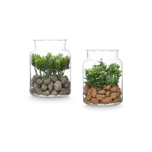 JAR GLASS WITH PLANT