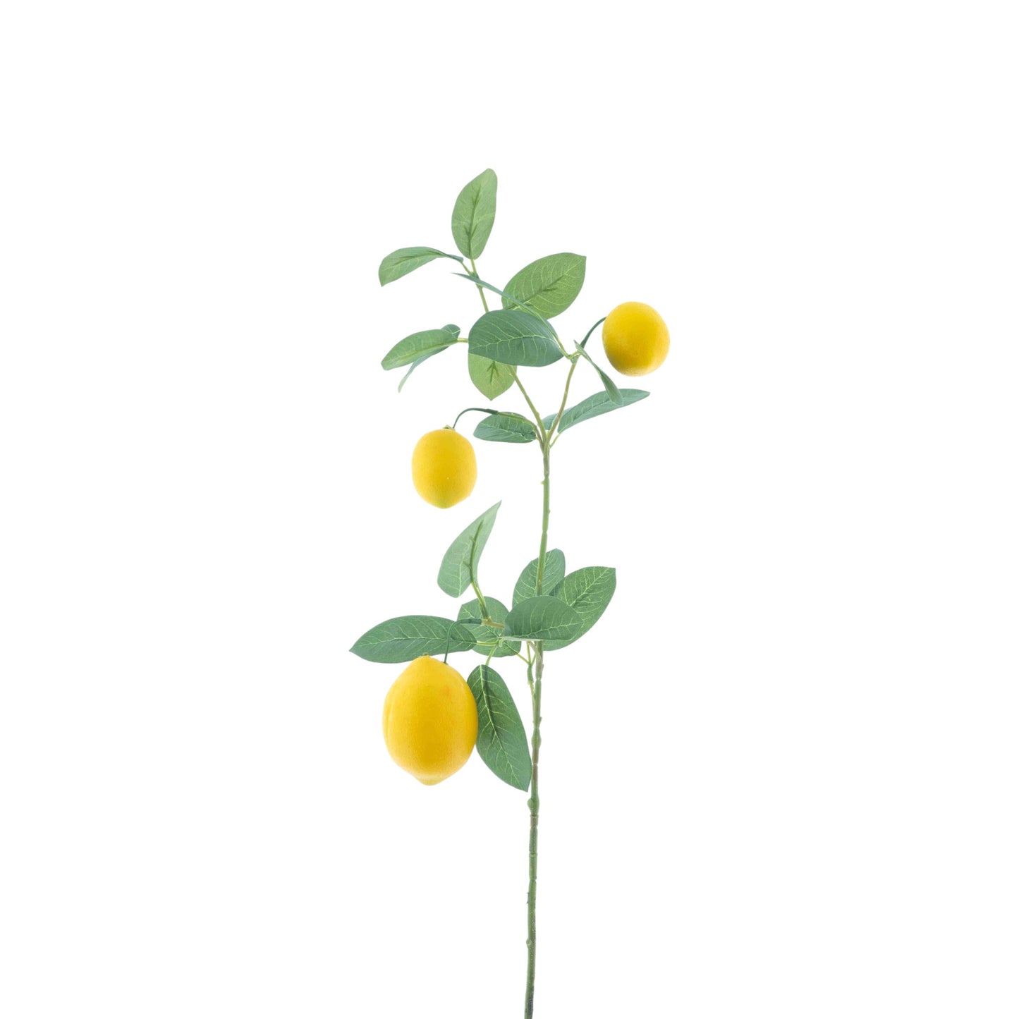 LEMON SINESIS SPRAY 74 CM