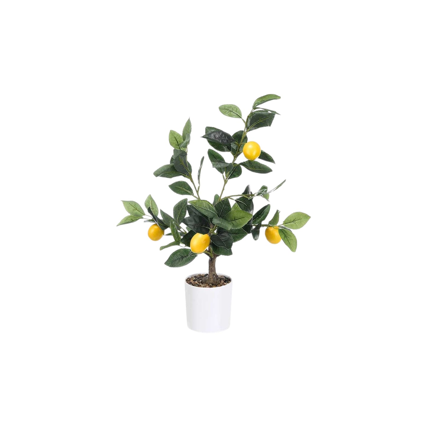 LEMON TREE 58 CM