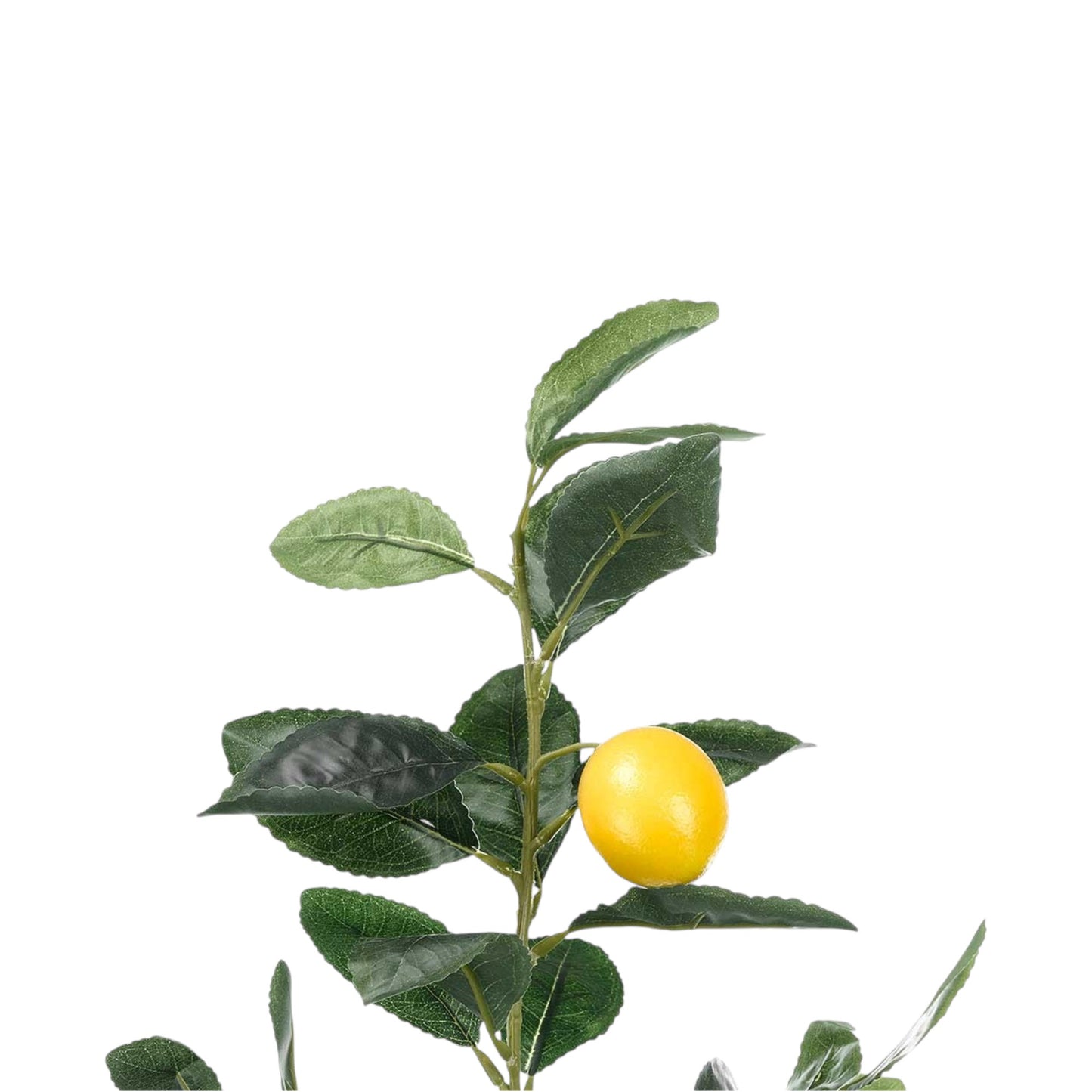 LEMON TREE 58 CM