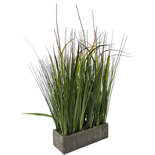 LILLY GRASS POT