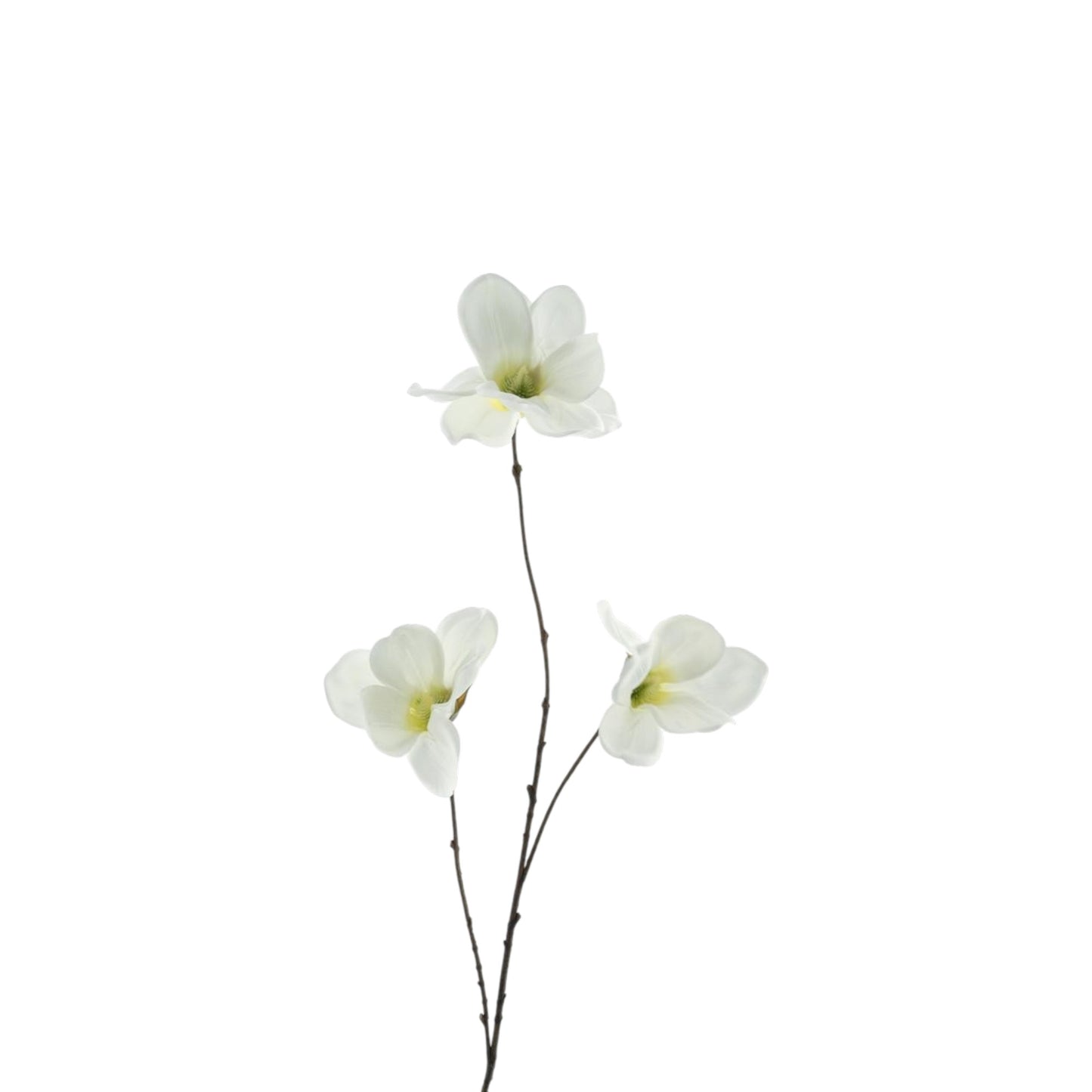 MAGNOLIA BRANCH 83 CM