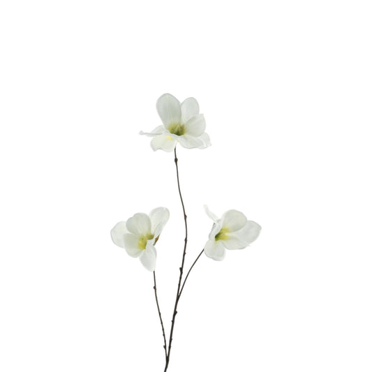 MAGNOLIA BRANCH 83 CM