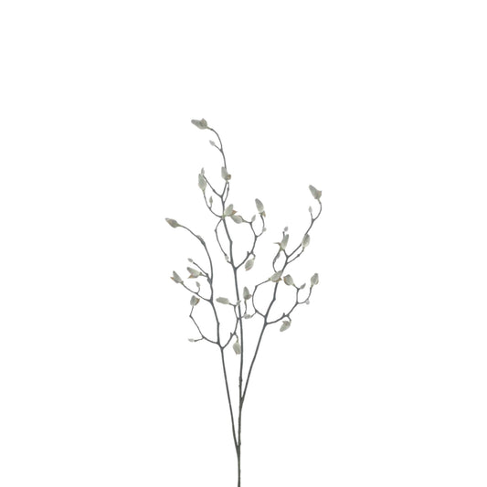 MAGNOLIA BUD BRANCH SVEN GREY