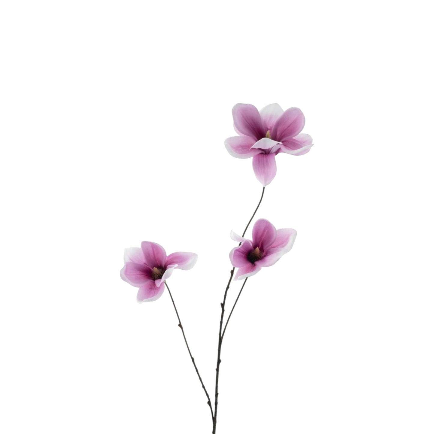 MAGNOLIA BRANCH 83 CM