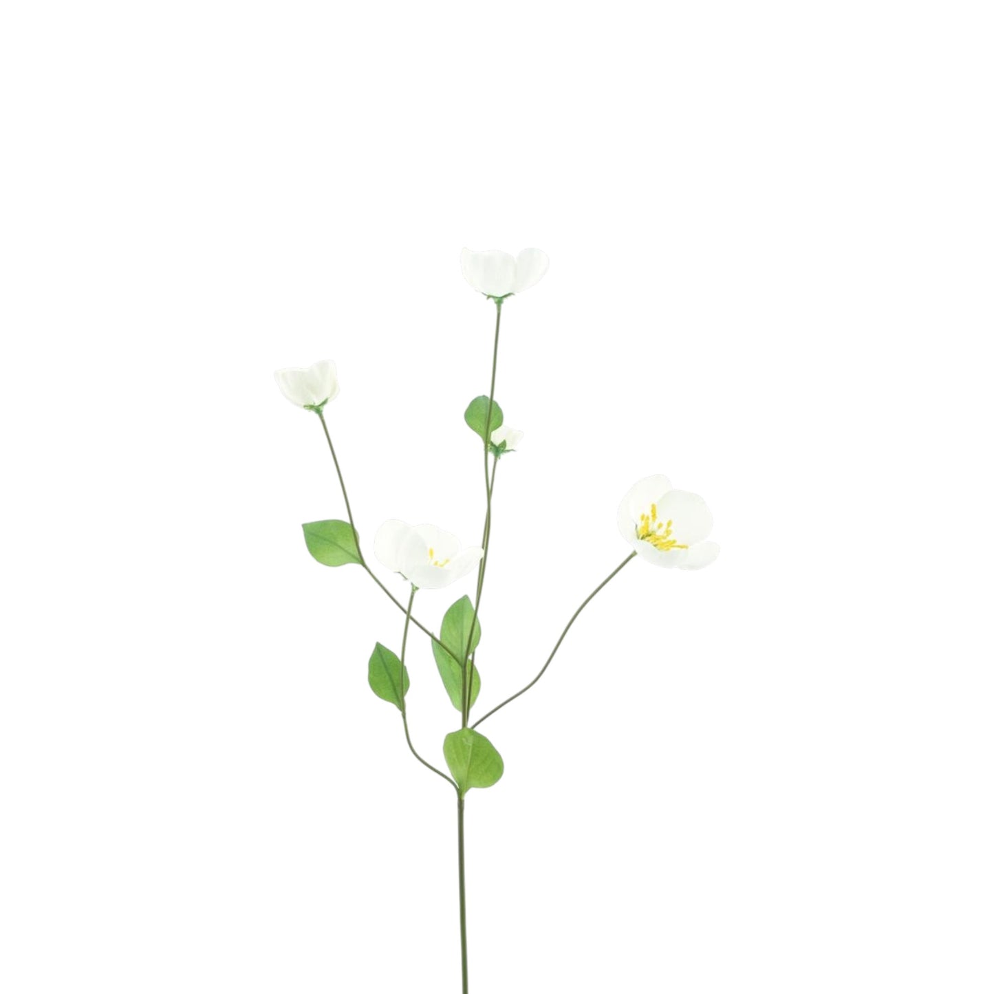 MELASTOMA SPRAY 76 CM