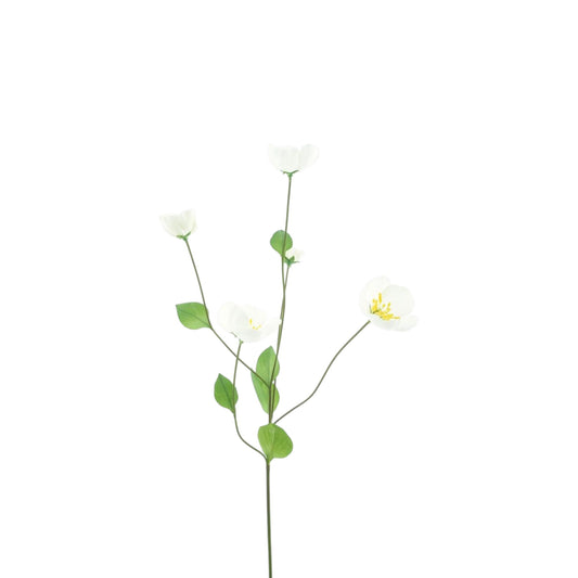 MELASTOMA SPRAY 76 CM