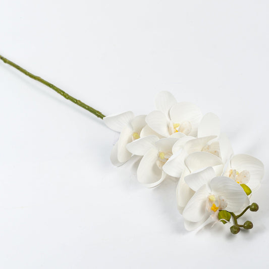 ORCHID BRANCH WHITE