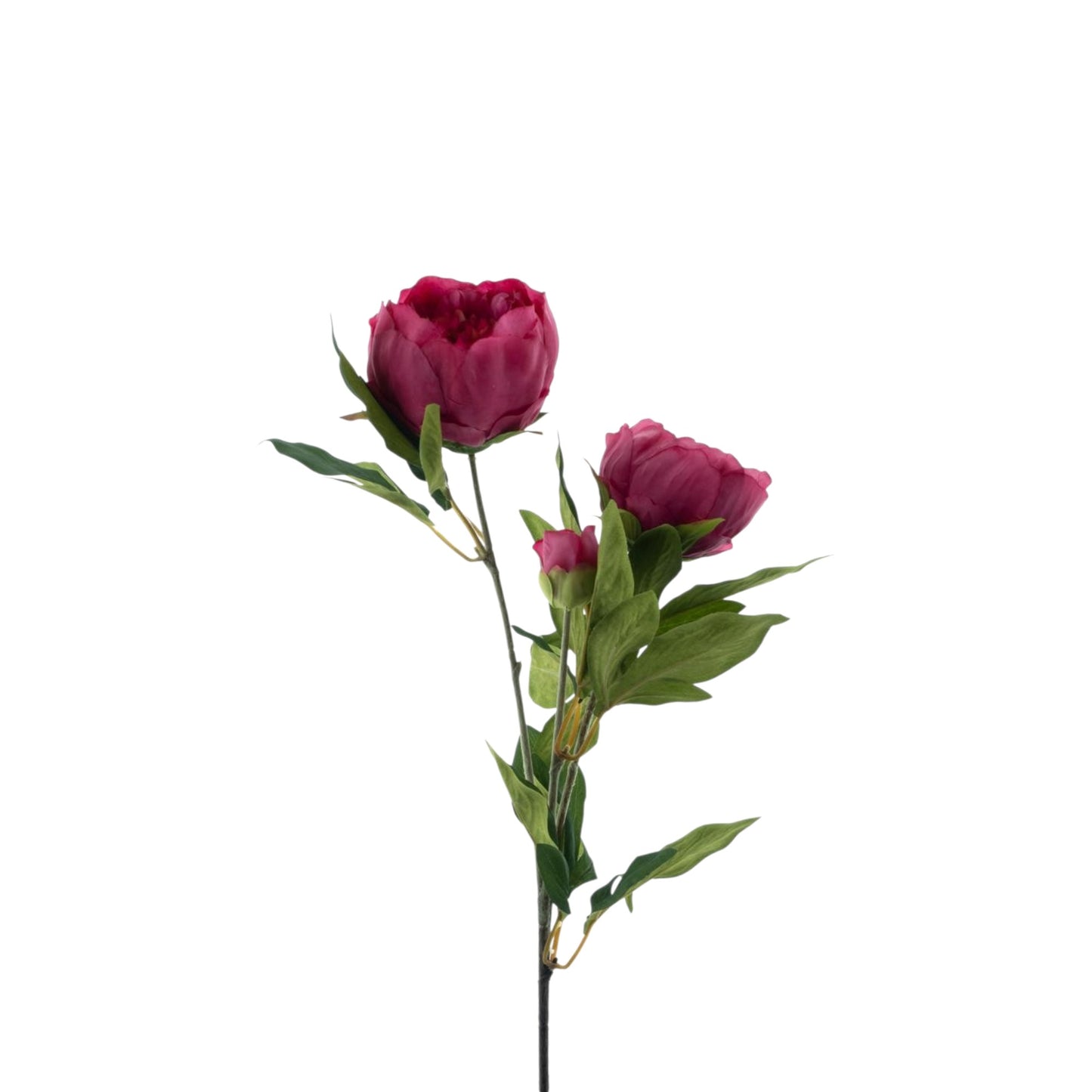 PEONY CHIBA SPRAY 65 CM